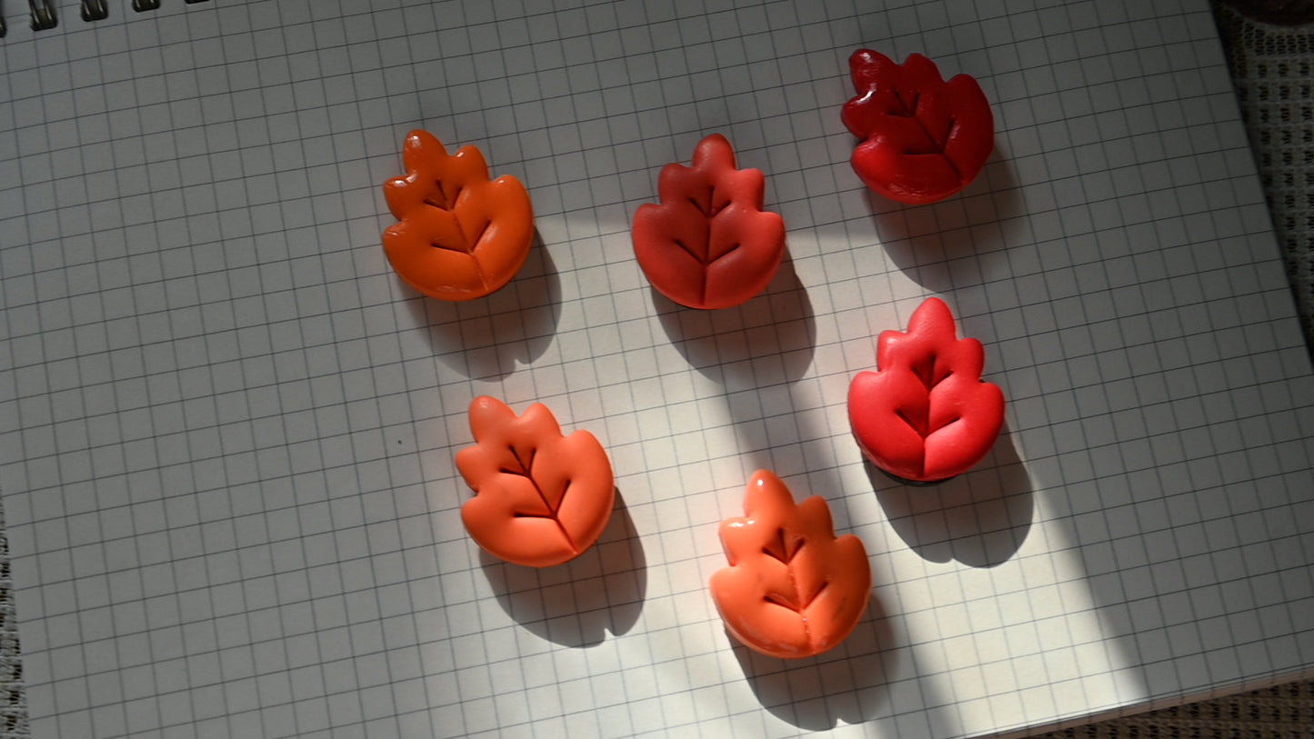 Autumn Leaf Magnets π