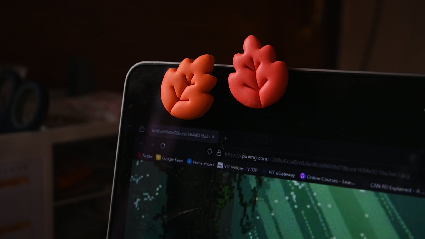 Autumn Leaf Magnets π