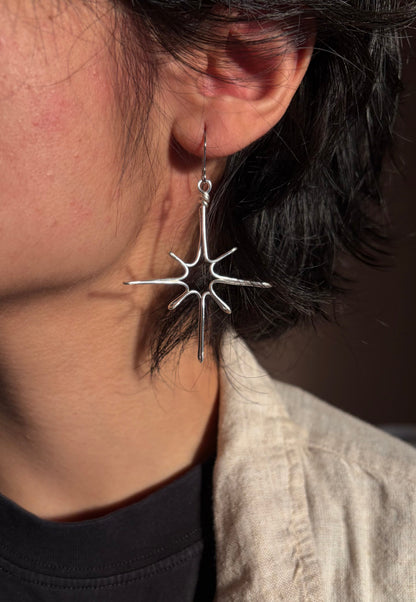 Sparkle Earrings ✨