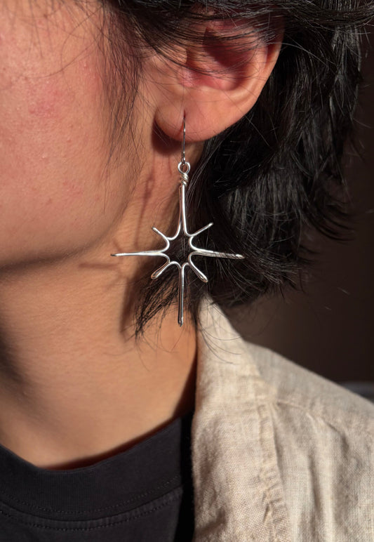 Sparkle Earrings ✨